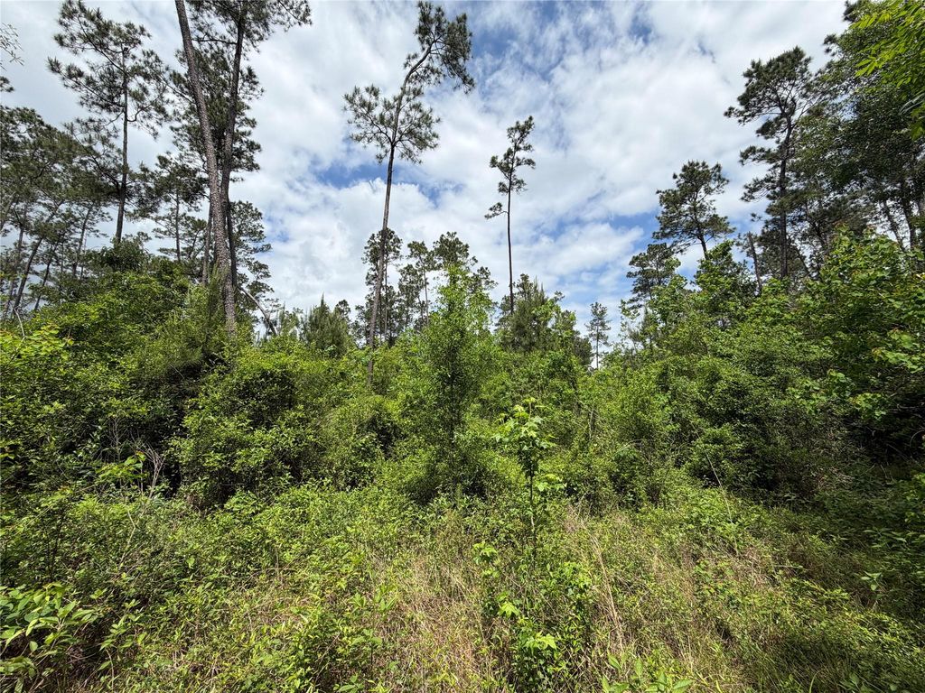 TBD Kelly Rd Road, Thicket, TX 77374
