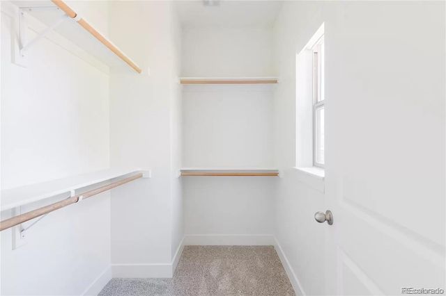 7984 E 51st Avenue, Denver, CO 80238