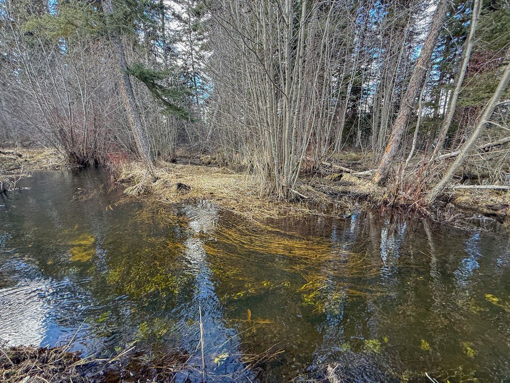 3630 Logan Creek Road, Whitefish, MT 59937 photo 10
