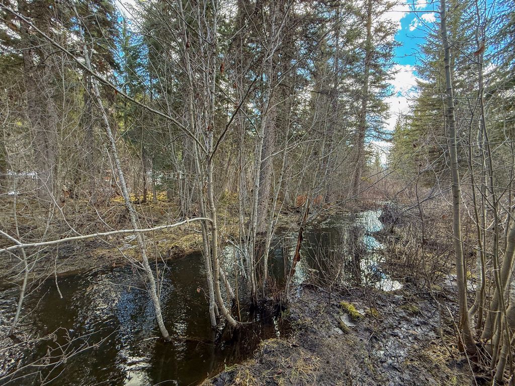 3630 Logan Creek Road, Whitefish, MT 59937 photo 47