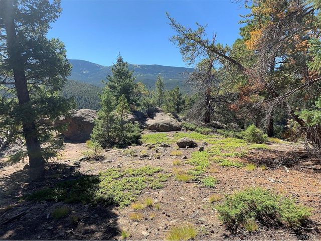 32764 Lodgepole Cir, Evergreen, CO 80439