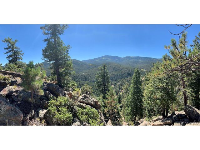 32764 Lodgepole Cir, Evergreen, CO 80439