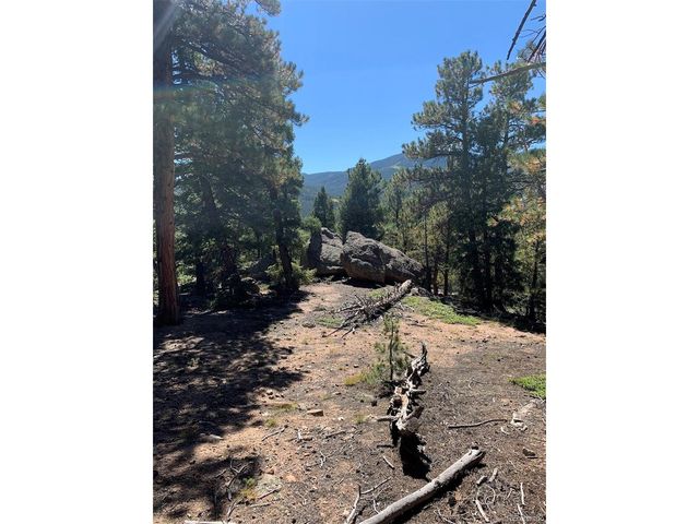 32764 Lodgepole Cir, Evergreen, CO 80439