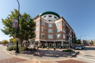 100 S Emerson Street 514, Mount Prospect, IL 60056