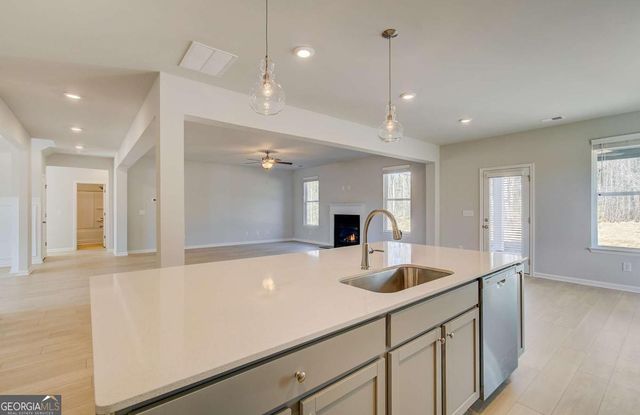 229 Ruthe Cove, Locust Grove, GA 30248