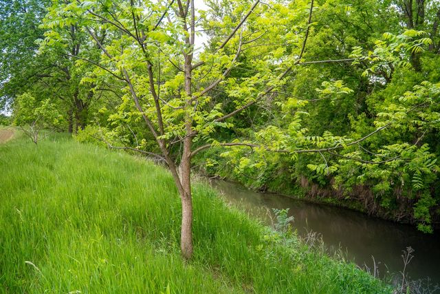 0 Capp Road, Morrison, IL 61270