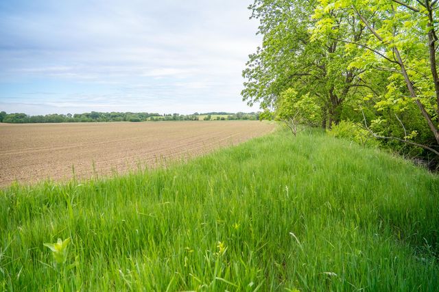 0 Capp Road, Morrison, IL 61270