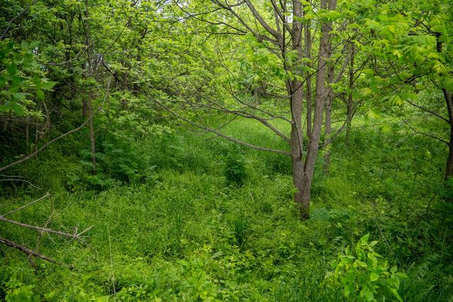 0 Capp Road, Morrison, IL 61270