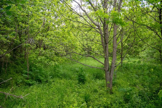 0 Capp Road, Morrison, IL 61270