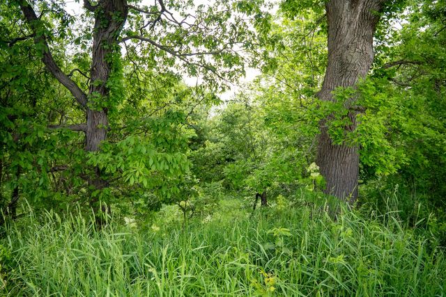 0 Capp Road, Morrison, IL 61270