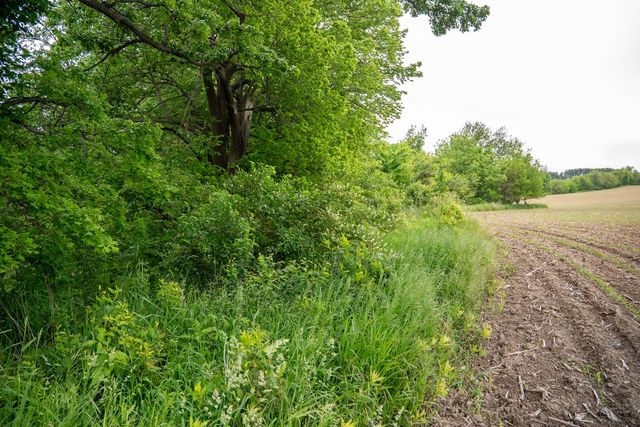 0 Capp Road, Morrison, IL 61270