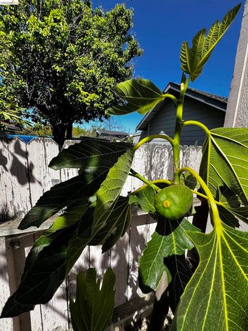 2119 Lincoln Ave, Richmond, CA 94801