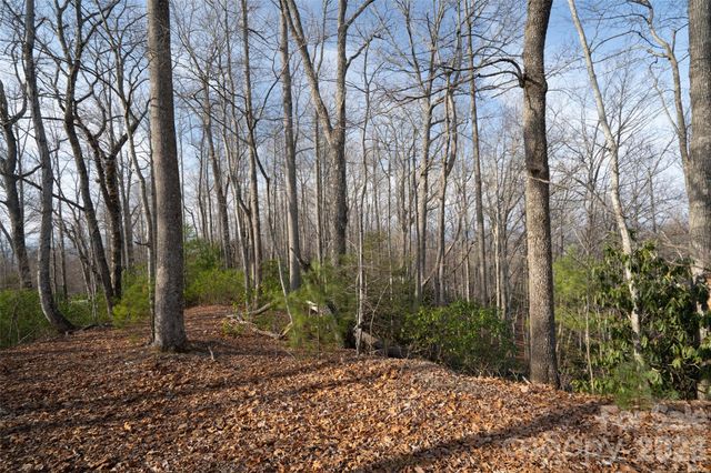 29 Open Ridge Trail, Pisgah Forest, NC 28768