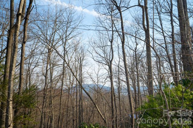 29 Open Ridge Trail, Pisgah Forest, NC 28768