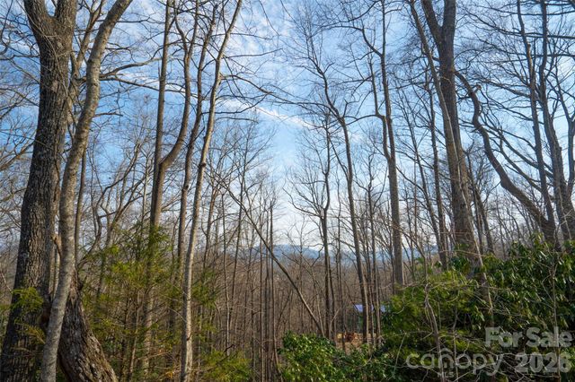 29 Open Ridge Trail, Pisgah Forest, NC 28768