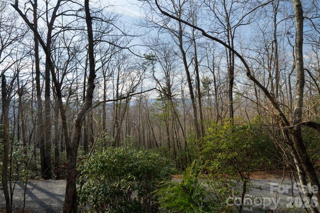 29 Open Ridge Trail, Pisgah Forest, NC 28768