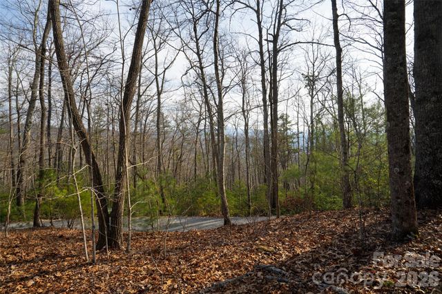 29 Open Ridge Trail, Pisgah Forest, NC 28768