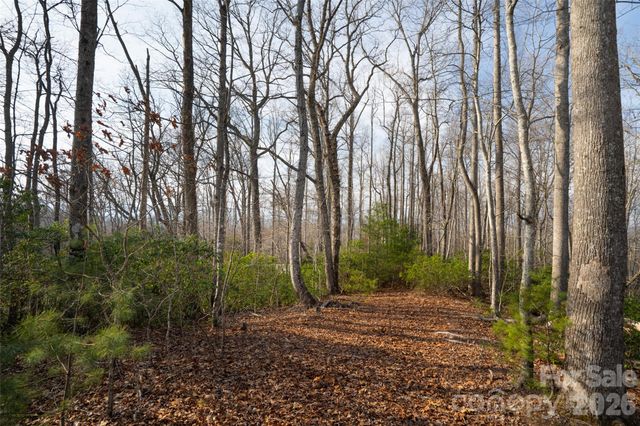 29 Open Ridge Trail, Pisgah Forest, NC 28768