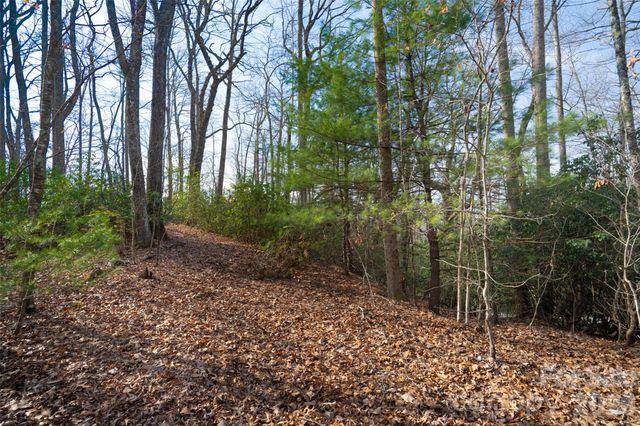 29 Open Ridge Trail, Pisgah Forest, NC 28768