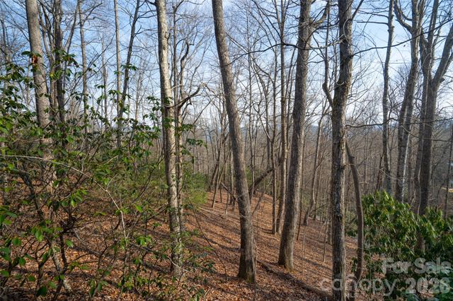 29 Open Ridge Trail, Pisgah Forest, NC 28768