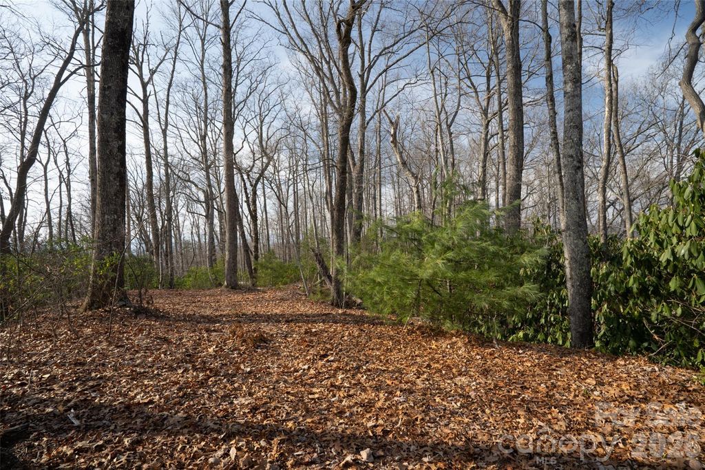 29 Open Ridge Trail, Pisgah Forest, NC 28768