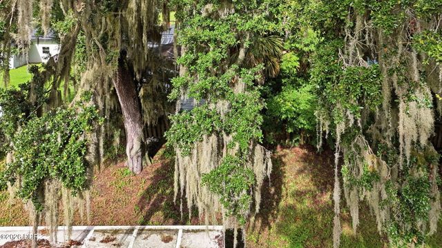 3128 Mango Tree Drive, Edgewater, FL 32141