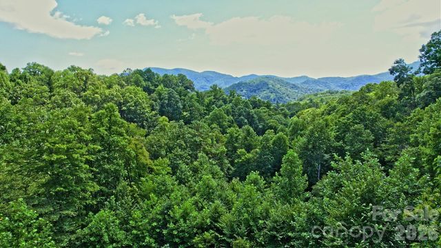 99999 Morgan Hill Road, Black Mountain, NC 28711