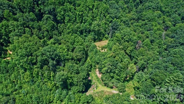 99999 Morgan Hill Road, Black Mountain, NC 28711