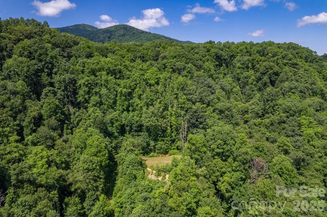 99999 Morgan Hill Road, Black Mountain, NC 28711