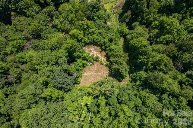 99999 Morgan Hill Road, Black Mountain, NC 28711