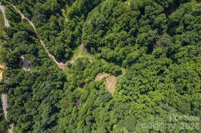 99999 Morgan Hill Road, Black Mountain, NC 28711