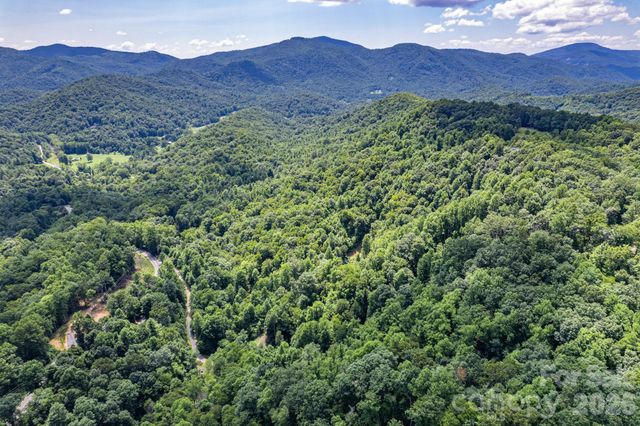 99999 Morgan Hill Road, Black Mountain, NC 28711