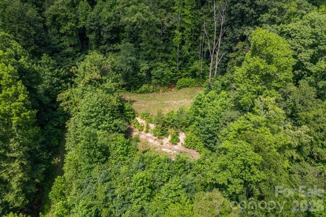 99999 Morgan Hill Road, Black Mountain, NC 28711
