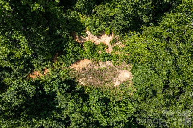 99999 Morgan Hill Road, Black Mountain, NC 28711
