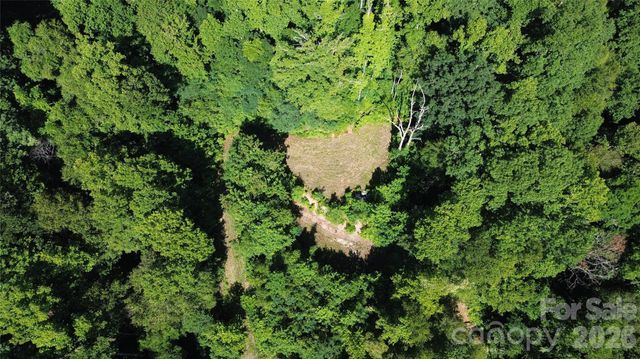 99999 Morgan Hill Road, Black Mountain, NC 28711
