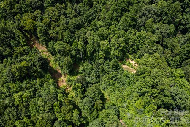 99999 Morgan Hill Road, Black Mountain, NC 28711