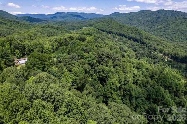 99999 Morgan Hill Road, Black Mountain, NC 28711