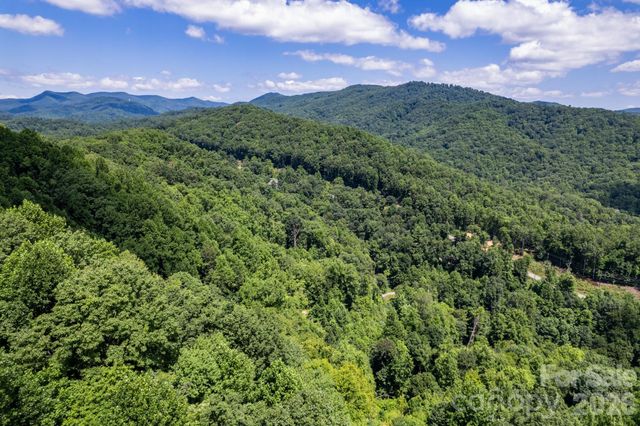 99999 Morgan Hill Road, Black Mountain, NC 28711