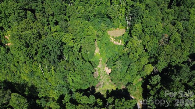99999 Morgan Hill Road, Black Mountain, NC 28711