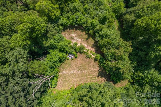 99999 Morgan Hill Road, Black Mountain, NC 28711