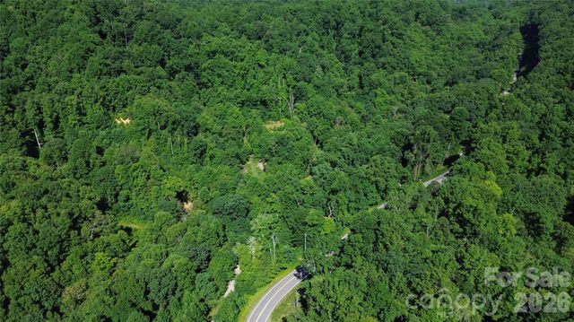 99999 Morgan Hill Road, Black Mountain, NC 28711