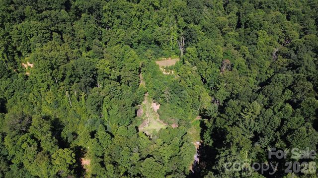 99999 Morgan Hill Road, Black Mountain, NC 28711