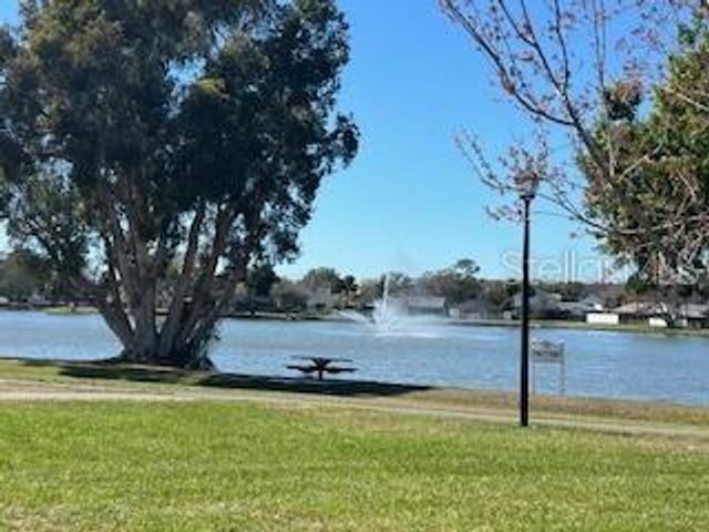 11009 SUMMER DRIVE, Tampa, FL 33624