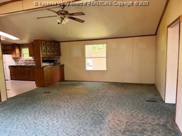 161 Cow Lane, Arnoldsburg, WV 25334