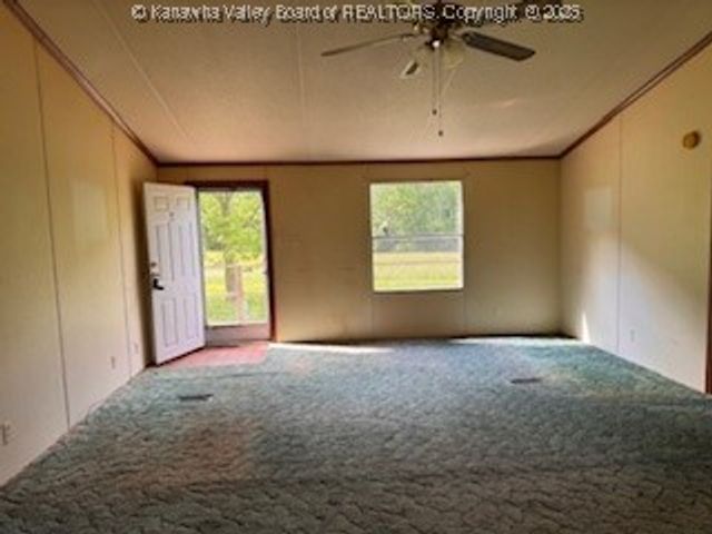 161 Cow Lane, Arnoldsburg, WV 25334