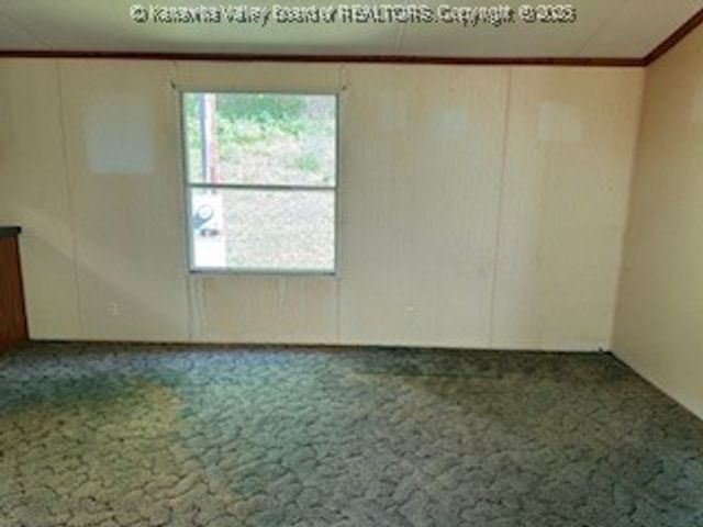 161 Cow Lane, Arnoldsburg, WV 25334