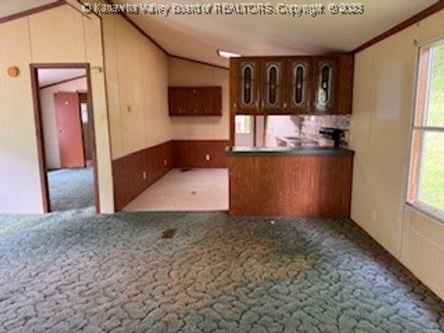 161 Cow Lane, Arnoldsburg, WV 25334