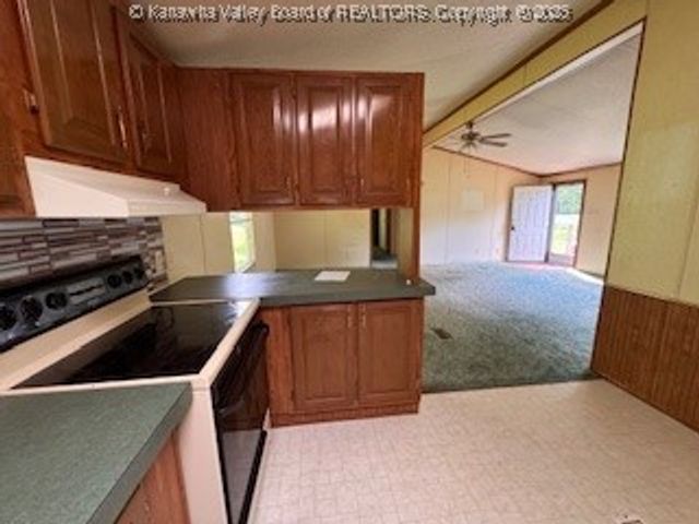 161 Cow Lane, Arnoldsburg, WV 25334