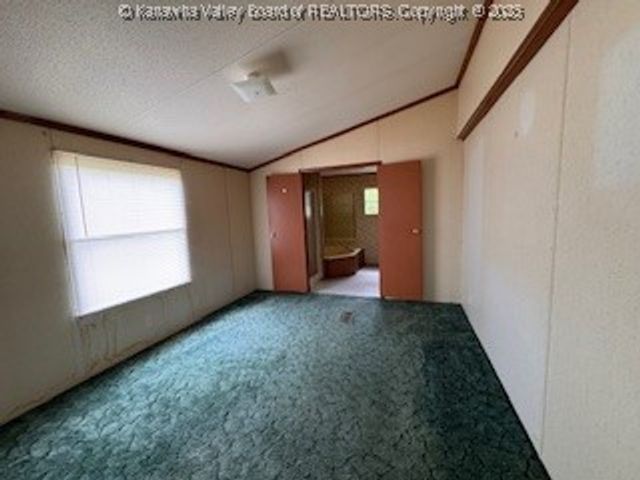 161 Cow Lane, Arnoldsburg, WV 25334