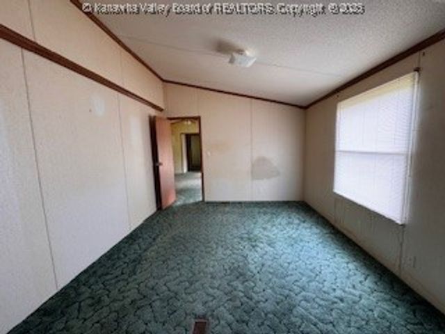 161 Cow Lane, Arnoldsburg, WV 25334